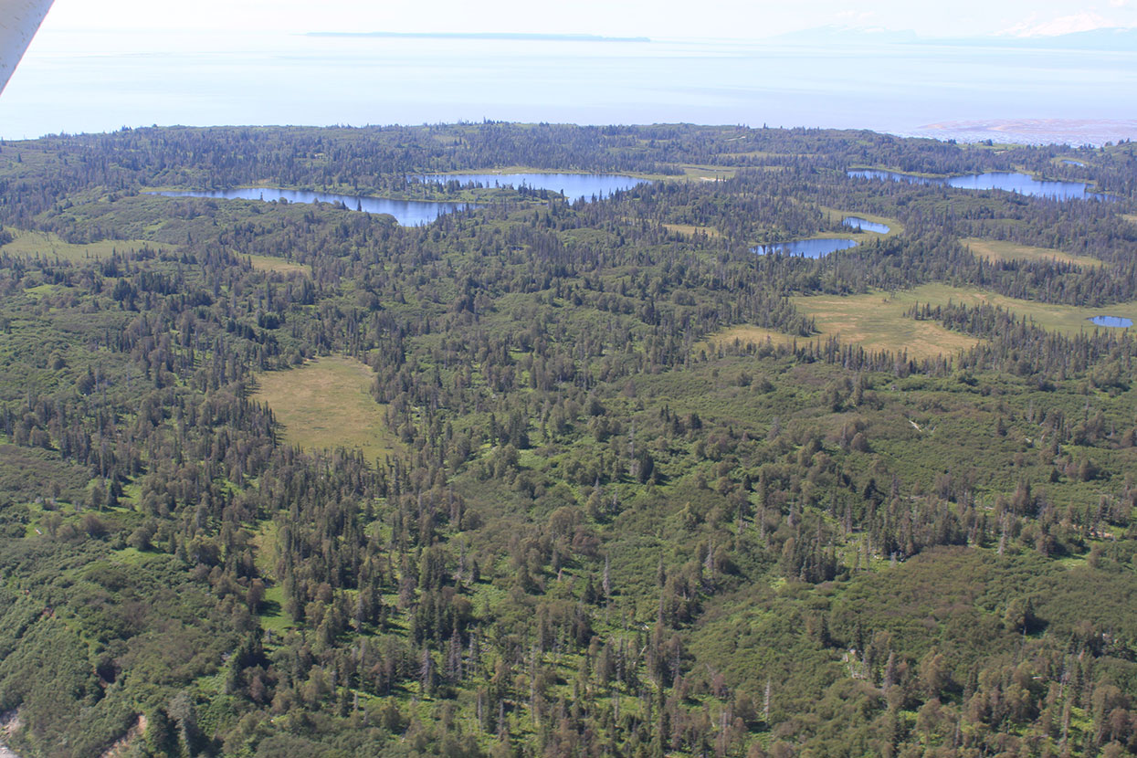 Alaska Cottonwood Lodge