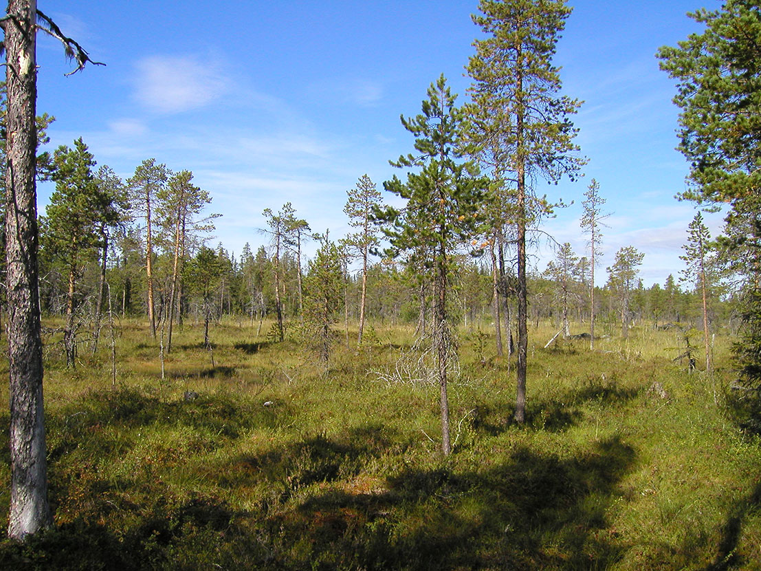 Schweden Sorsele Haus Gunilla