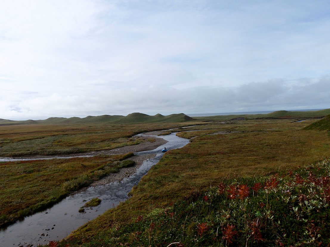 Alaska Hoodoo Lodge King Salmon Package