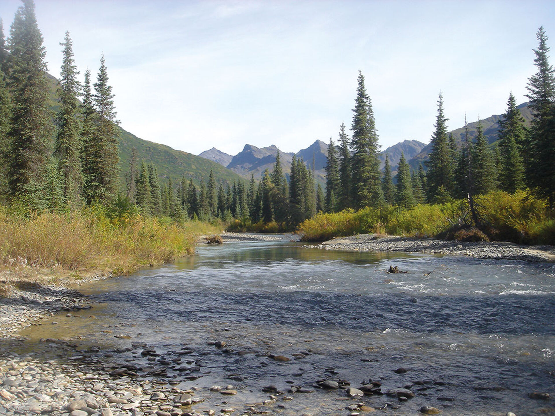 Alaska Moosehorn Lodge