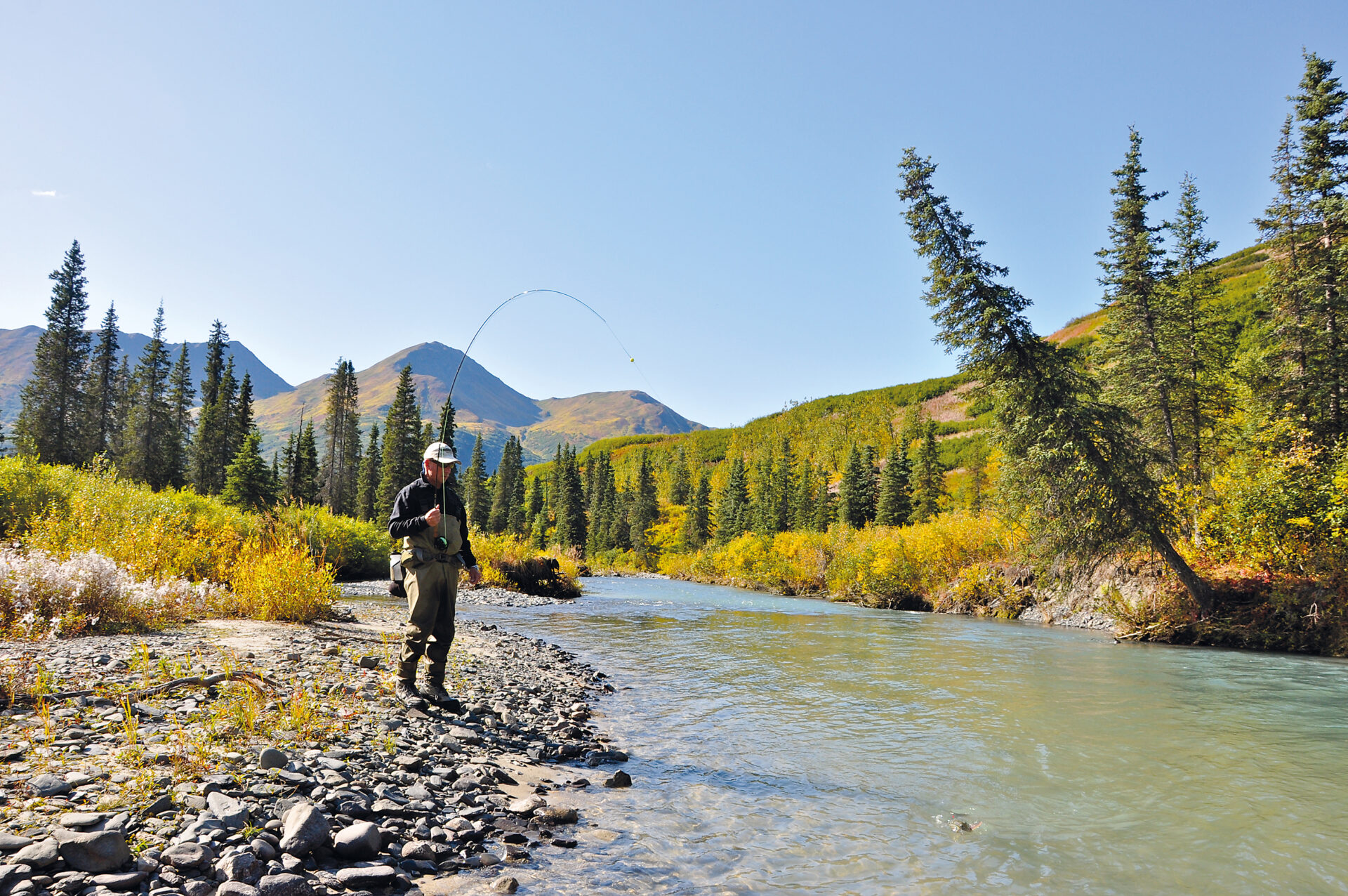 Alaska Moosehorn Lodge