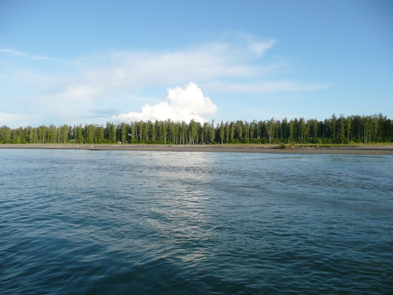 Alaska Cottonwood Lodge