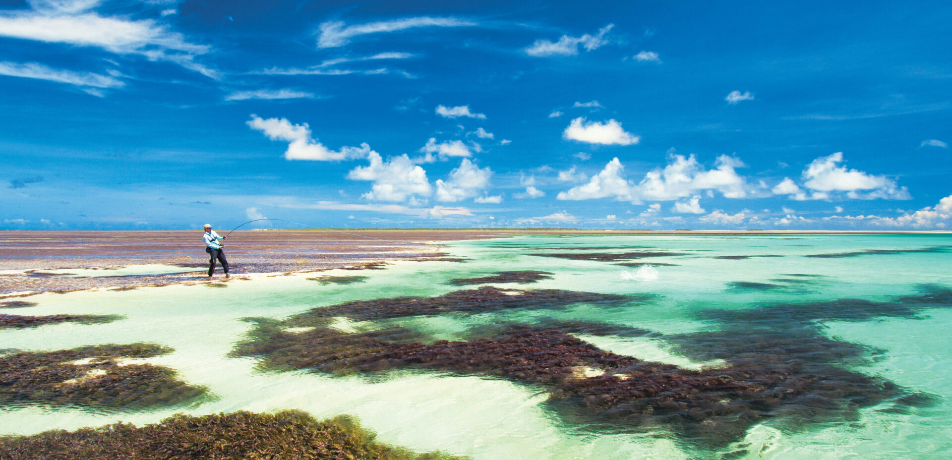 Seychellen Cosmoledo Atoll